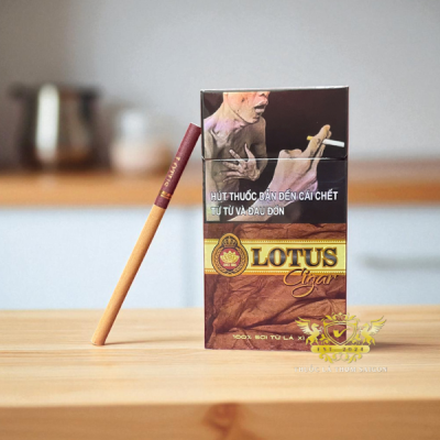 Xì Gà Lotus 20 Điếu