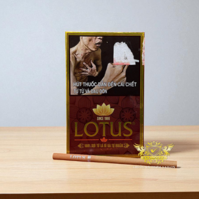 Xì Gà Lotus 30 Điếu