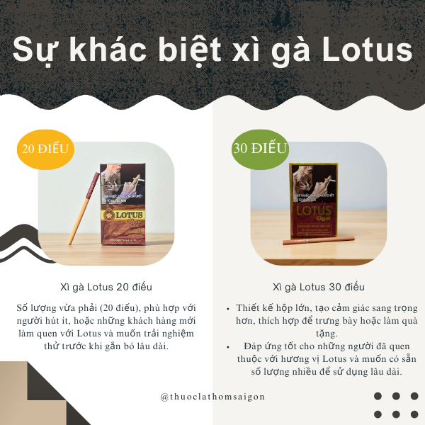 xì gà lotus