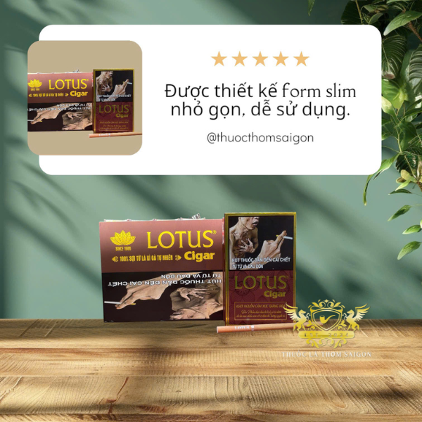 Xì gà Lotus 30 điếu chính hãng